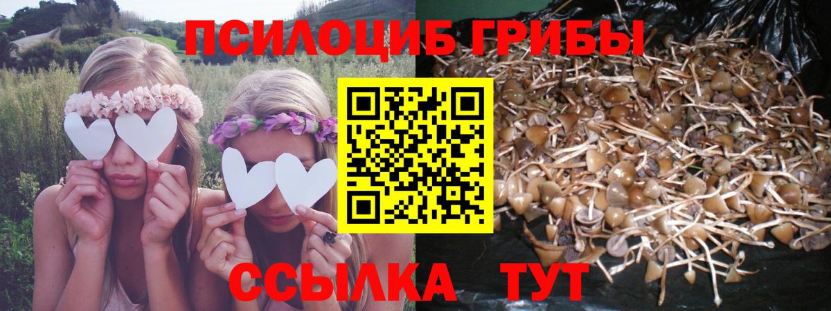 Псилоцибиновые грибы MAGIC MUSHROOMS Майкоп
